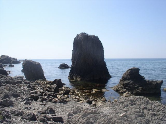P1010313